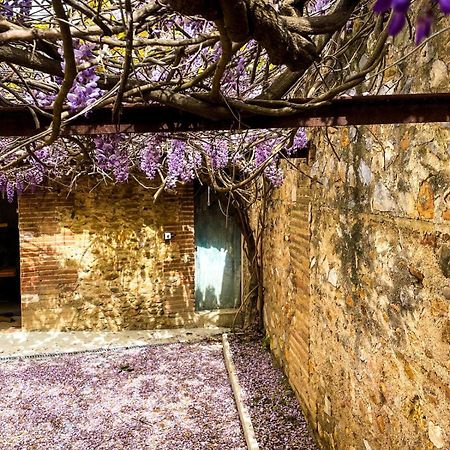 Gite De Charme Du Domaine Pagnon Guillemette Torreilles Exterior photo