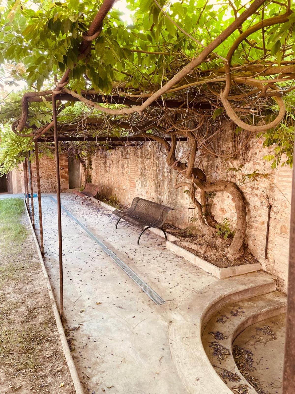 Gite De Charme Du Domaine Pagnon Guillemette Torreilles Exterior photo